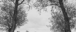 modern style wedding photography
