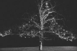 Tree at Rathsallagh House wedding