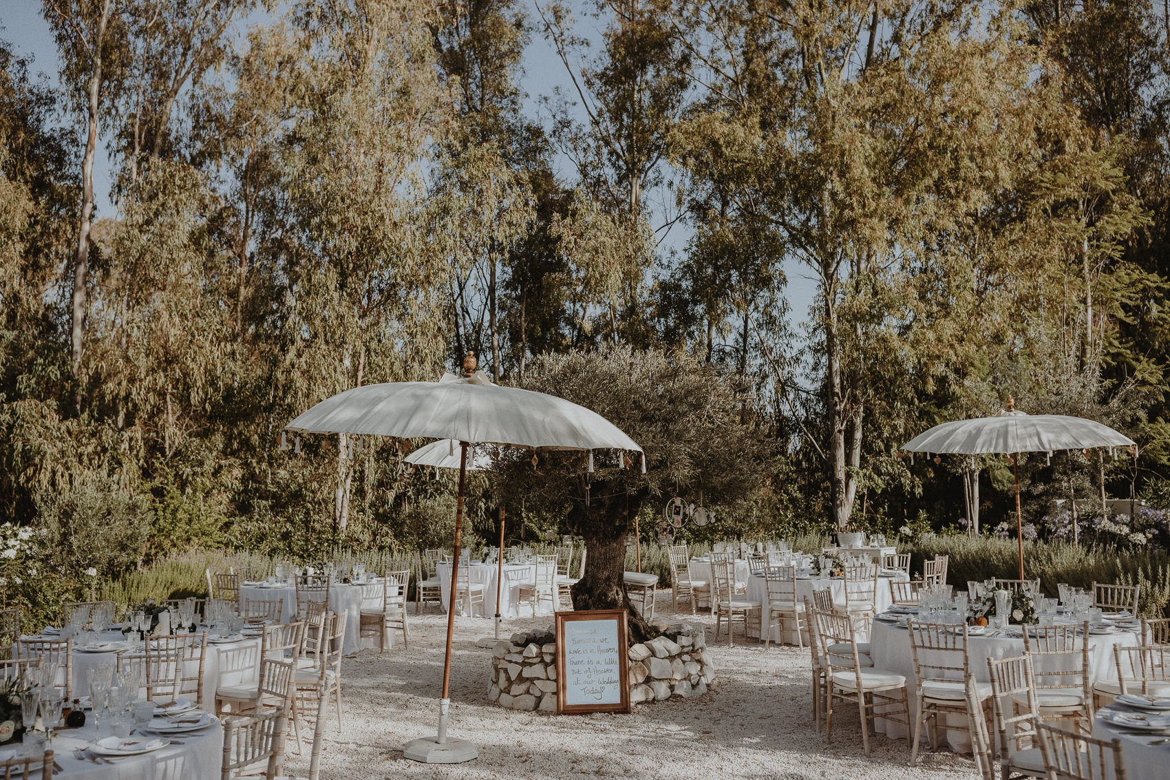 Sarah & Bill | Summer wedding at Cortijo Rosa Blanca | Marbella - Spain 374